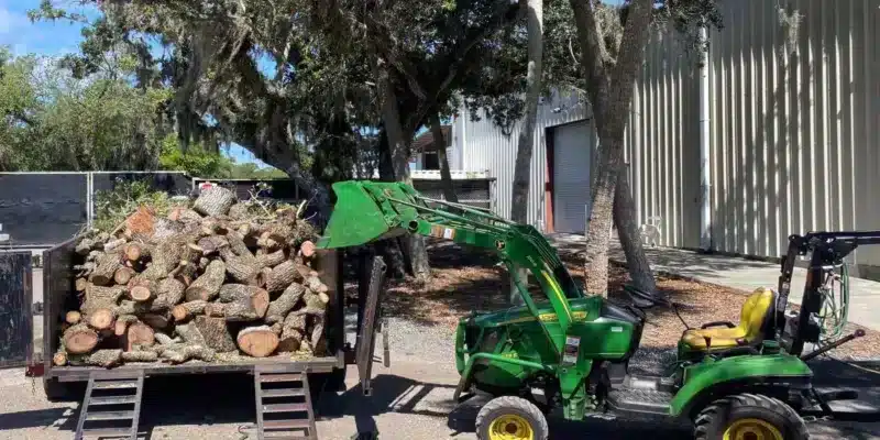 Exceptional Tree Removal Services in Pleasanton, CA: Discover Swell Emergency Tree Removal