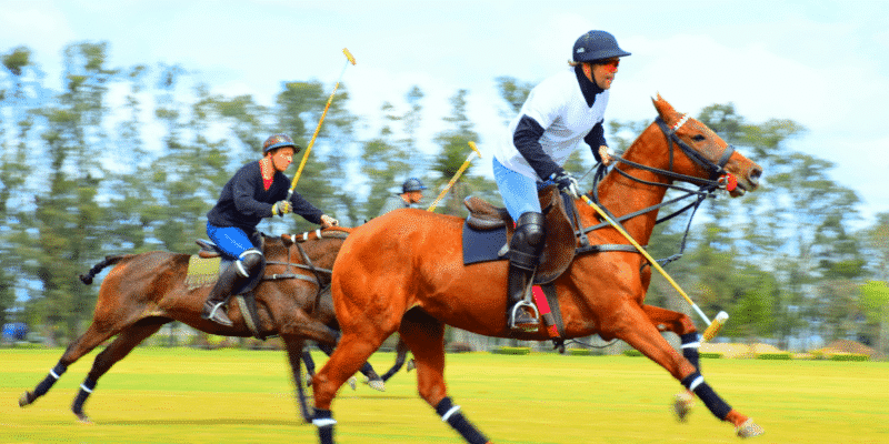 Santiago Hernando Bridging Polo's Legacy to Global Fame