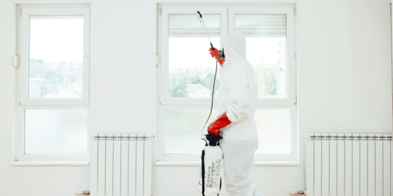 Protecting Your Investment_Effective Termite Control Strategies