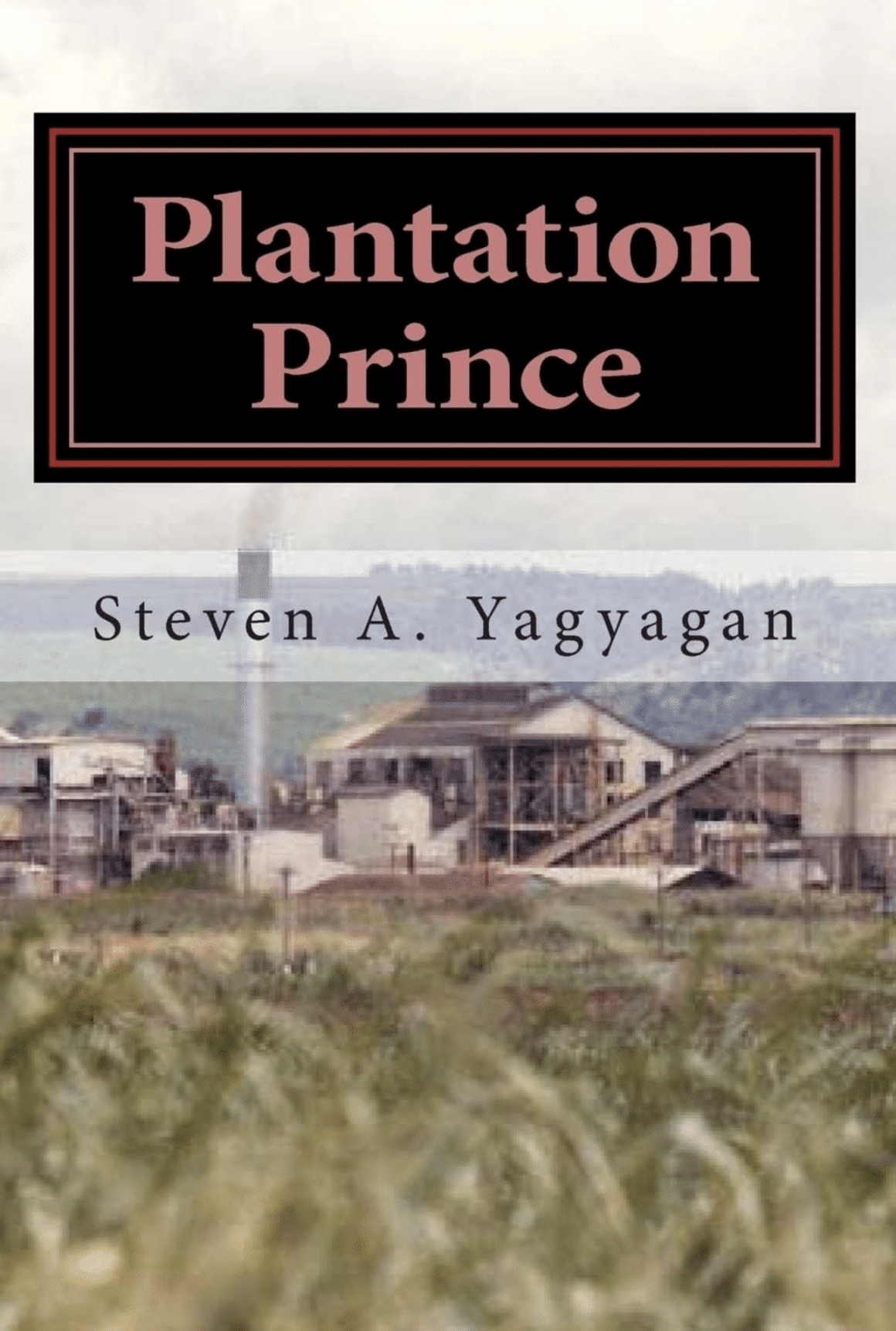 From the Sugar and Pineapple Plantations to a Life of Achievements Steven Yagyagan’s Journey of Resilience and Success (3)