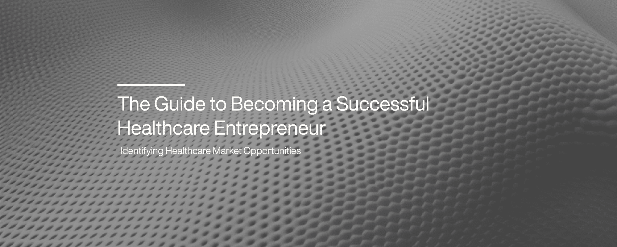 A Guide to Becoming a Successful Healthcare Entrepreneur