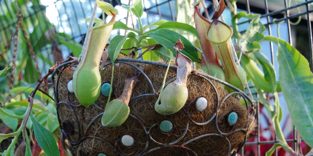Impact Of Garden Pods In Corporate Office Spaces Boosting Productivity and Wellbeing