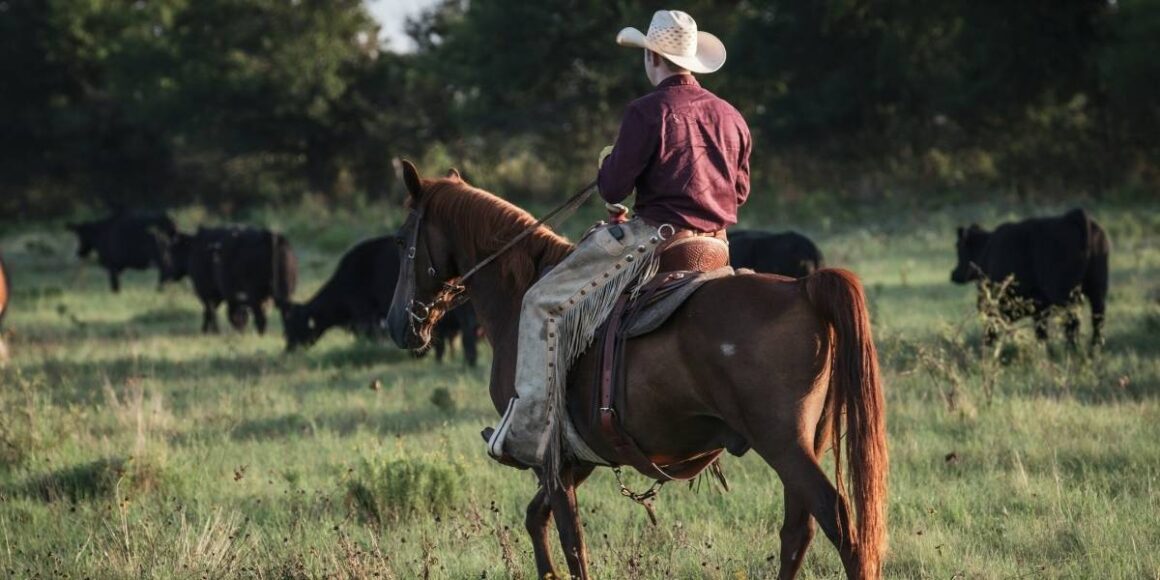 Kelly Reilly and Cole Hauser Preview Dutton Ranch Season 2