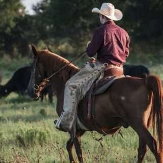 Kelly Reilly and Cole Hauser Preview Dutton Ranch Season 2