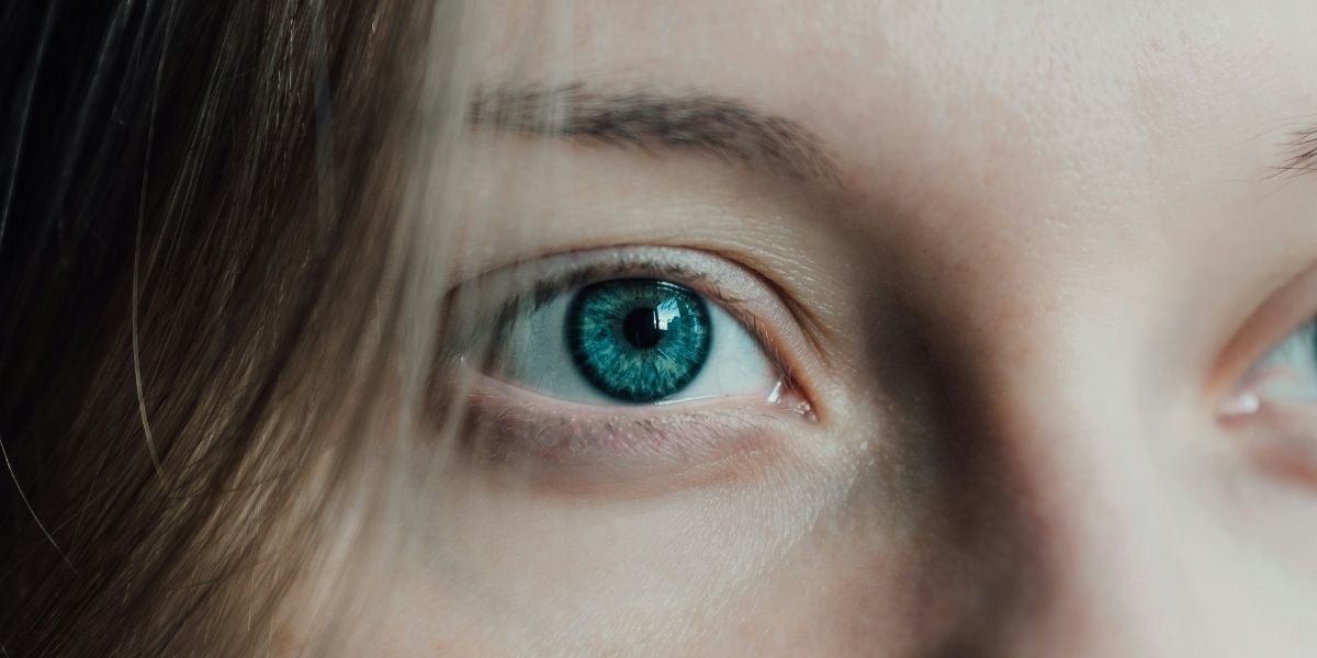 You Can See Everything Sets a New Domestic Documentary Record