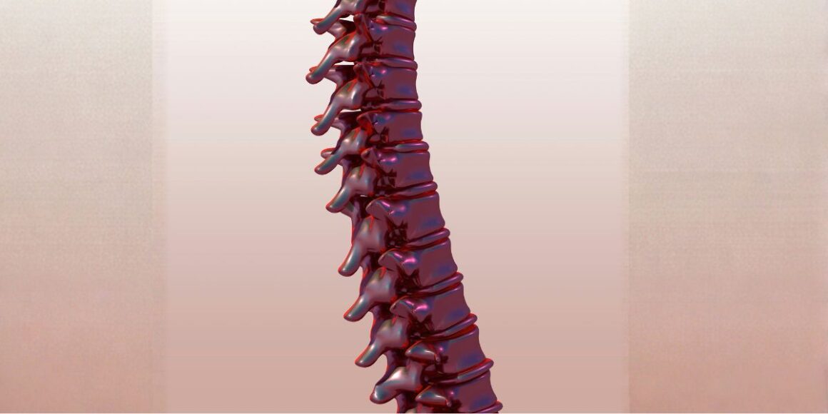 Just Diagnosed With a Herniated Disc? What the First Six Weeks Can Look Like, and What a New Study Says About Healing