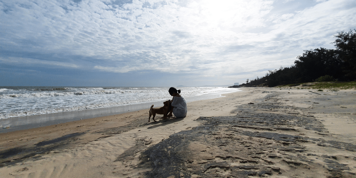The Role of a Life Coach in Personal Growth